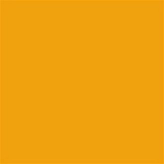 Cleveland Cavaliers Yellow NBA